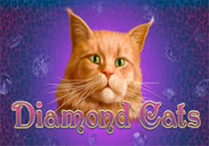 Diamond Cats Slot Logo