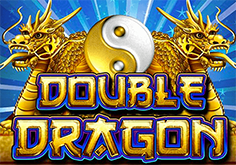 Double Dragon Slot