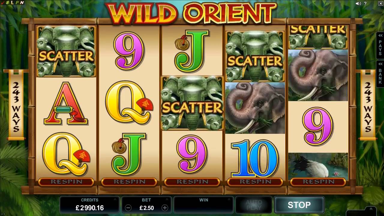 Wild Orient Slot Review